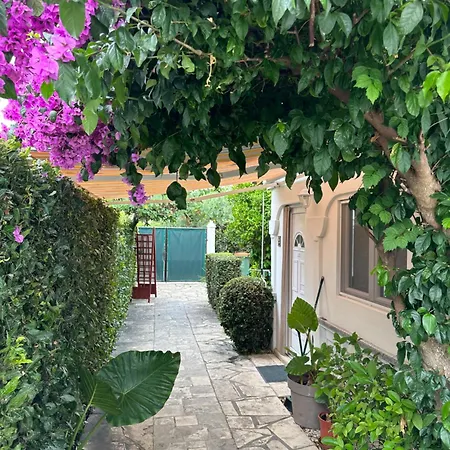 Luxury Zola Apartman