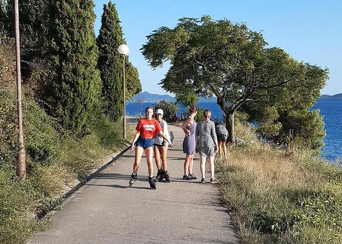 Lejlighed Luxury Zola *