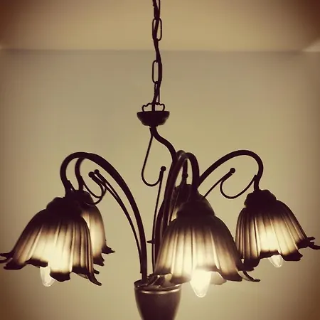 Luxury Zola *