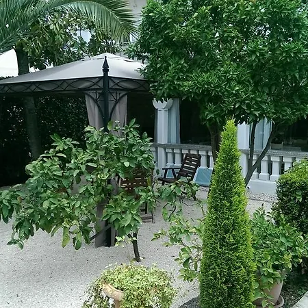 Lägenhet Luxury Zola *