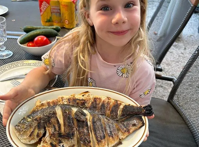 公寓 Luxury Zola 扎达尔